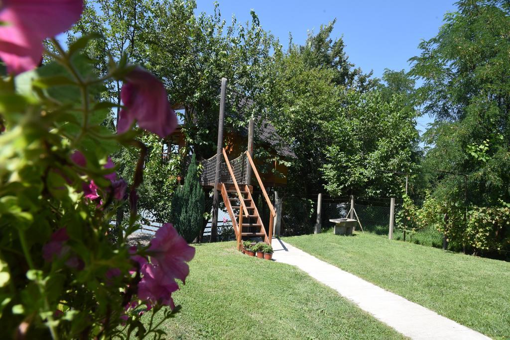Holiday Home Kucica Na Drvetu Banja Koviljaca Exterior photo